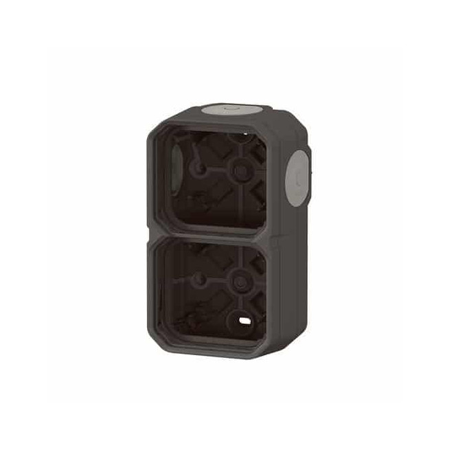 Boîtier saillie 2 postes Anthracite Plexo