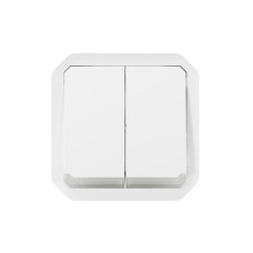 Double interrupteur lumineux Blanc Plexo