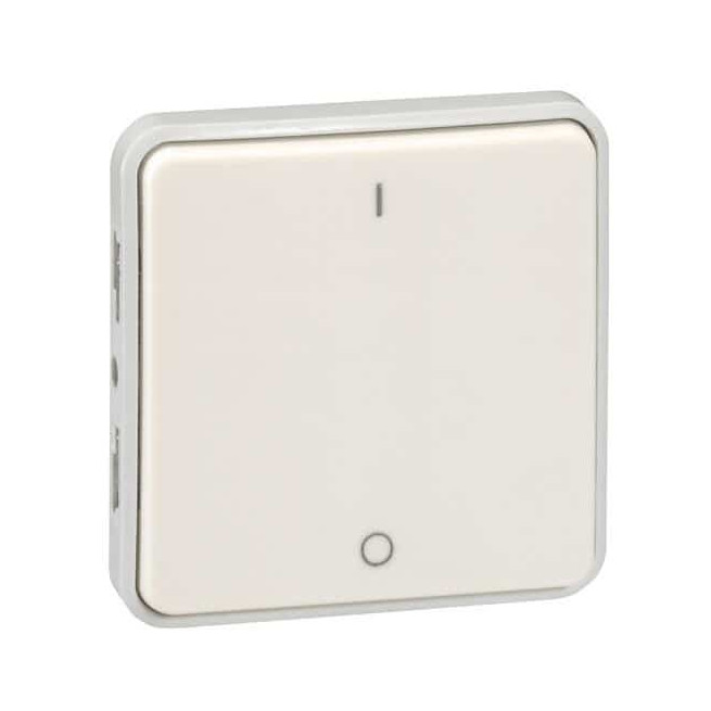 Interrupteur bipolaire Blanc Plexo