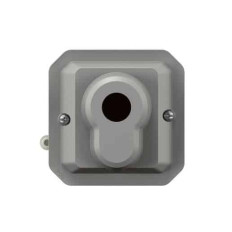 Poussoir à clé 3 positions Gris Plexo