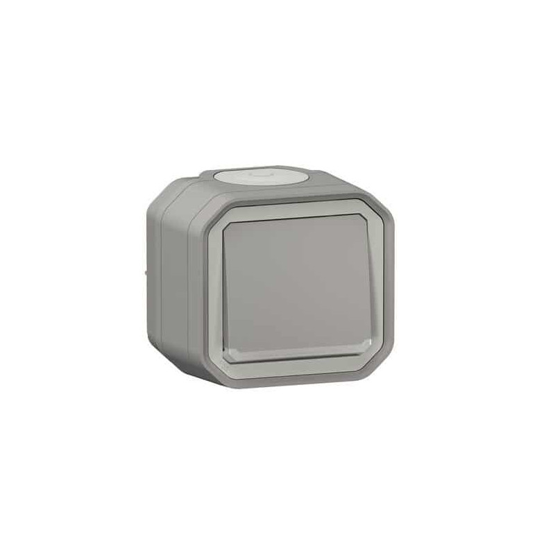 Interrupteur témoin 10AX Gris Plexo
