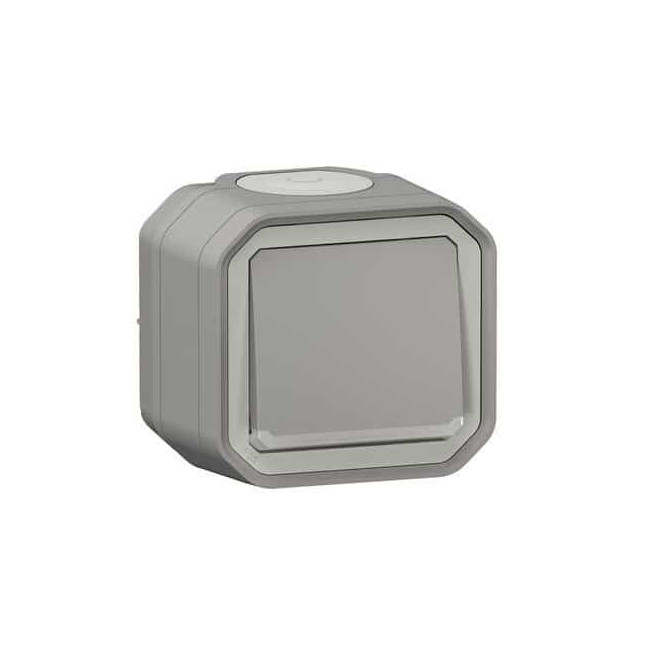 Interrupteur témoin 10AX Gris Plexo