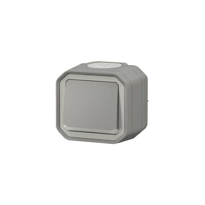 Interrupteur témoin 10AX Gris Plexo