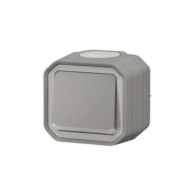 Interrupteur témoin 10AX Gris Plexo