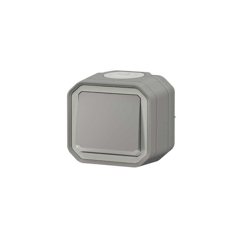 Interrupteur lumineux 10AX Gris Plexo