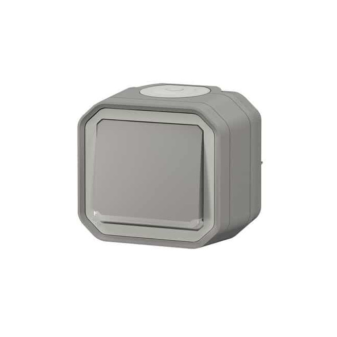 Interrupteur lumineux 10AX Gris Plexo
