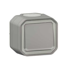 Interrupteur lumineux 10AX Gris Plexo