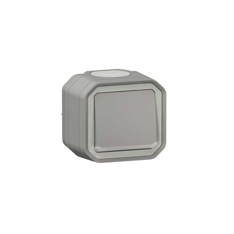 Interrupteur lumineux 10AX Gris Plexo