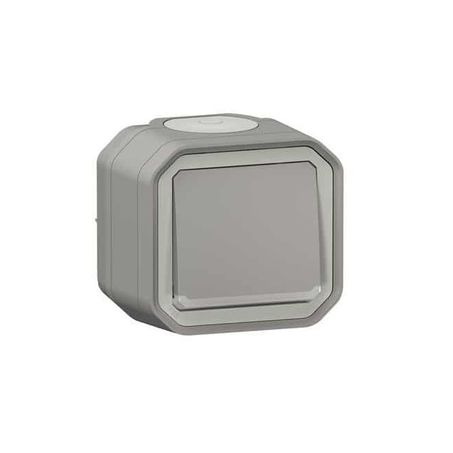 Interrupteur lumineux 10AX Gris Plexo