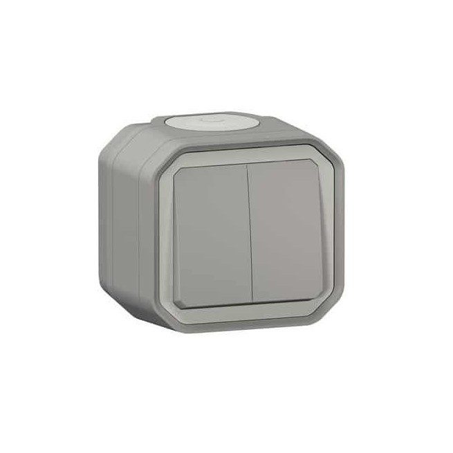 Double interrupteur poussoir Gris Plexo