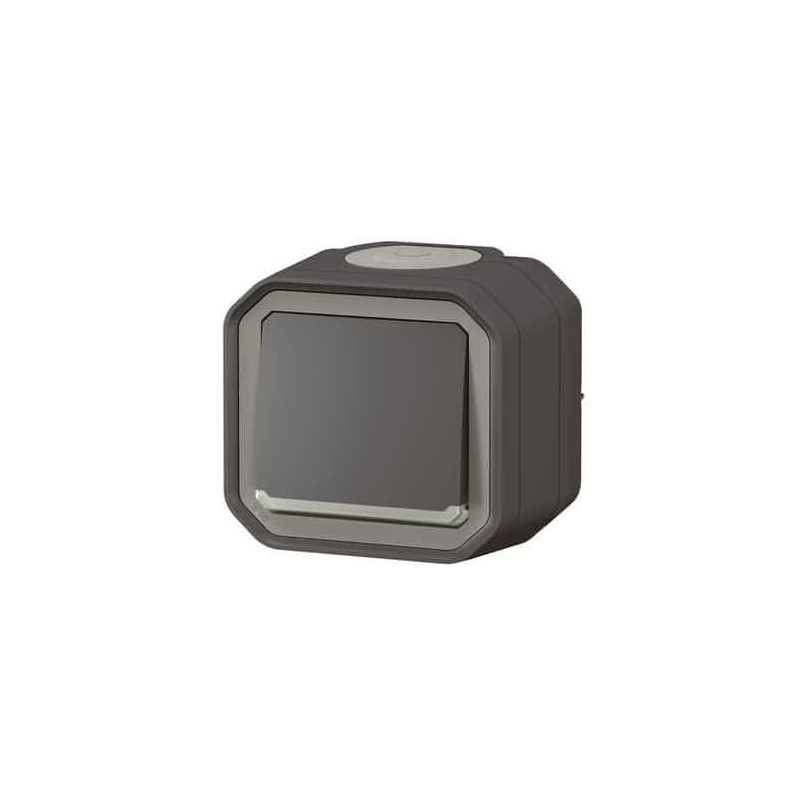 Interrupteur témoin 10AX Anthracite Plexo