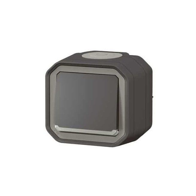 Interrupteur témoin 10AX Anthracite Plexo