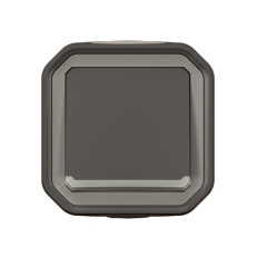 Interrupteur témoin 10AX Anthracite Plexo