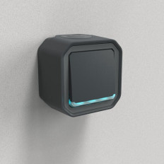 Interrupteur témoin 10AX Anthracite Plexo