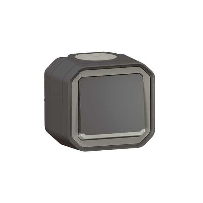 Interrupteur témoin 10AX Anthracite Plexo