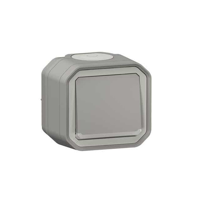 Poussoir NO lumineux Gris Plexo