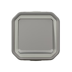 Poussoir NO lumineux Gris Plexo