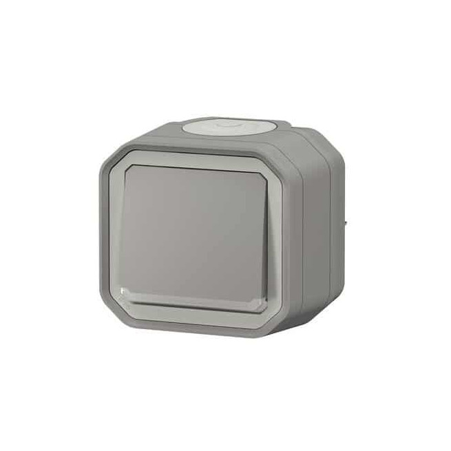 Poussoir NO lumineux Gris Plexo