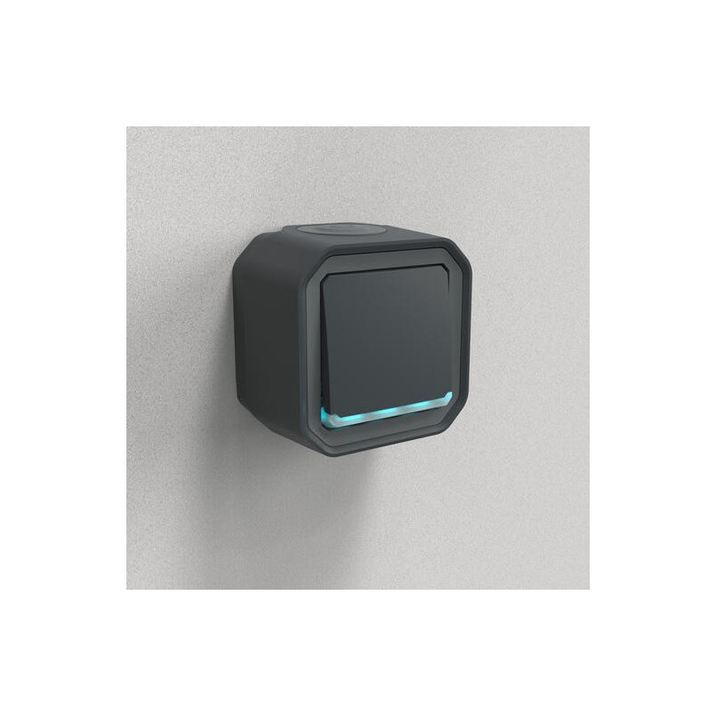 Interrupteur lumineux 10AX Anthracite Plexo
