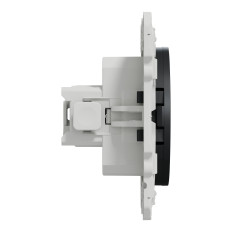 Prise 2P+T connexions rapides Anthracite Odace