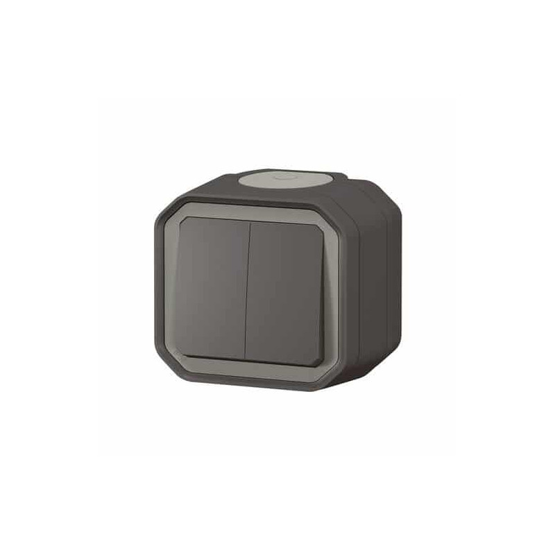 Double interrupteur poussoir Anthracite Plexo