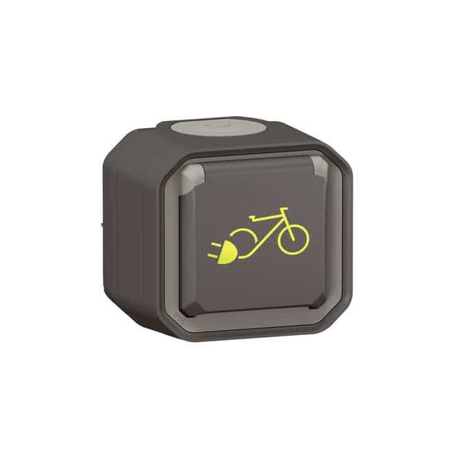 Prise recharge vélo électrique Anthracite Plexo