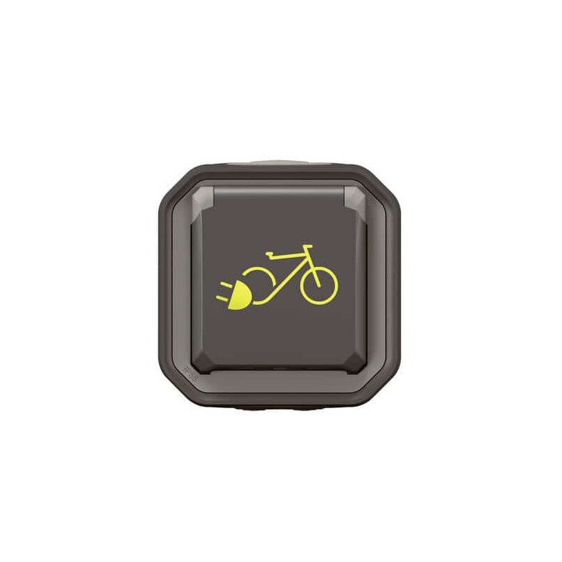 Prise recharge vélo électrique Anthracite Plexo