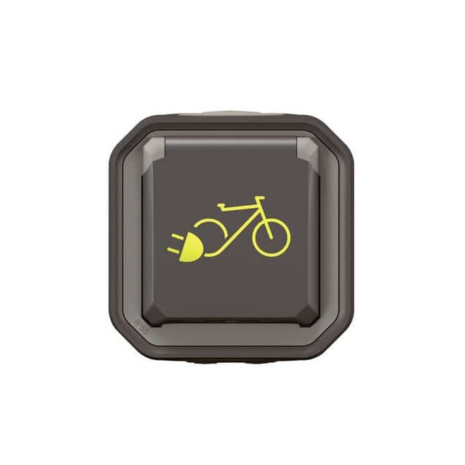 Prise recharge vélo électrique Anthracite Plexo