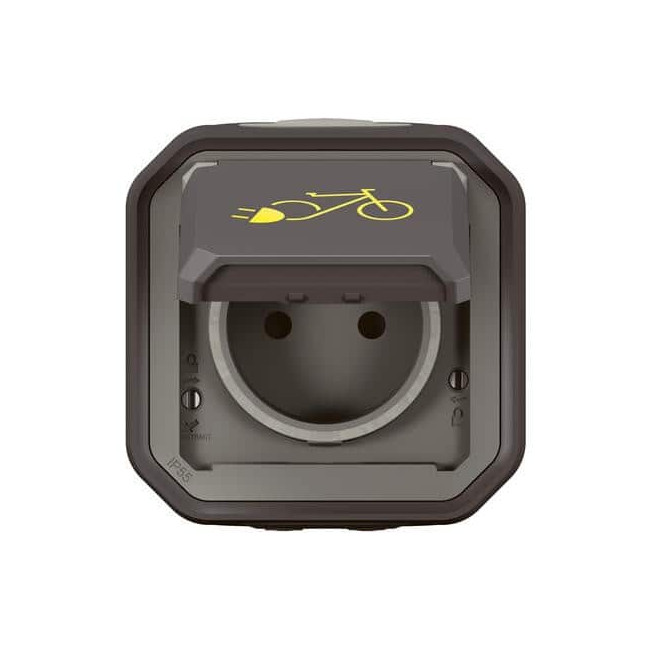 Prise recharge vélo électrique Anthracite Plexo