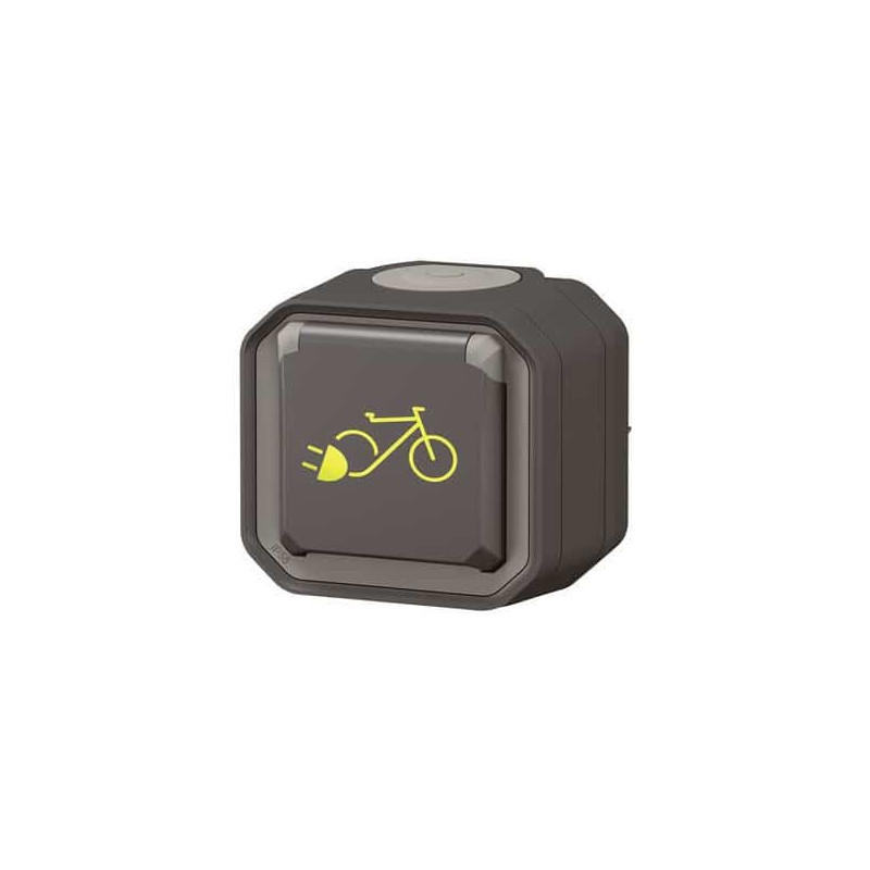 Prise recharge vélo électrique Anthracite Plexo