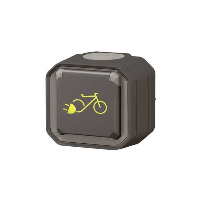 Prise recharge vélo électrique Anthracite Plexo