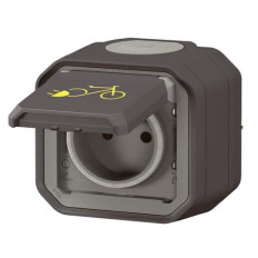 Prise recharge vélo électrique Anthracite Plexo
