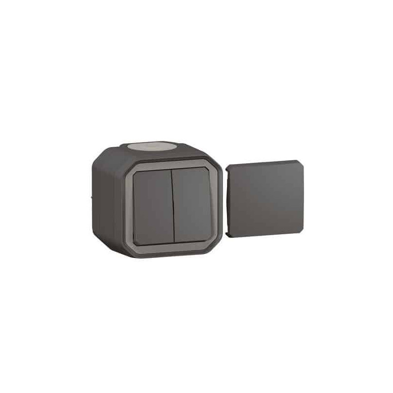 Transformateur réversible Anthracite Plexo
