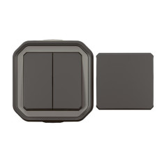 Transformateur réversible Anthracite Plexo