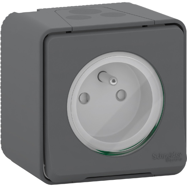 Prise de courant 2P+T - À vis - Saillie - IP55 - IK08 - Gris - Mureva Styl
