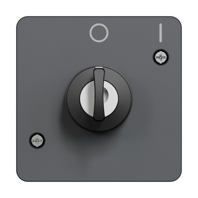 MUR35062-Appareillage-étanche-sup-IP55 Mureva-Styl-Interrupteur-à-clé-2-positions-composable-IP55-IK08-gris