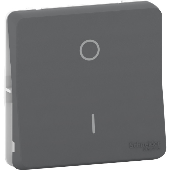 MUR35034-Appareillage-étanche-sup-IP55 Mureva-Styl-Interrupt-bipolaire-composable-IP55-IK08-connex-auto-gris