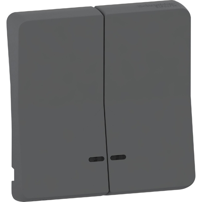 Enjoliveur 2 demi touche - IP55 - IK08 - Gris - Mureva Styl
