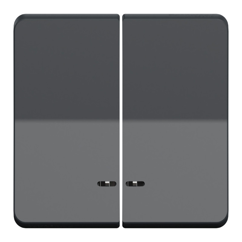 Enjoliveur 2 demi touche - IP55 - IK08 - Gris - Mureva Styl