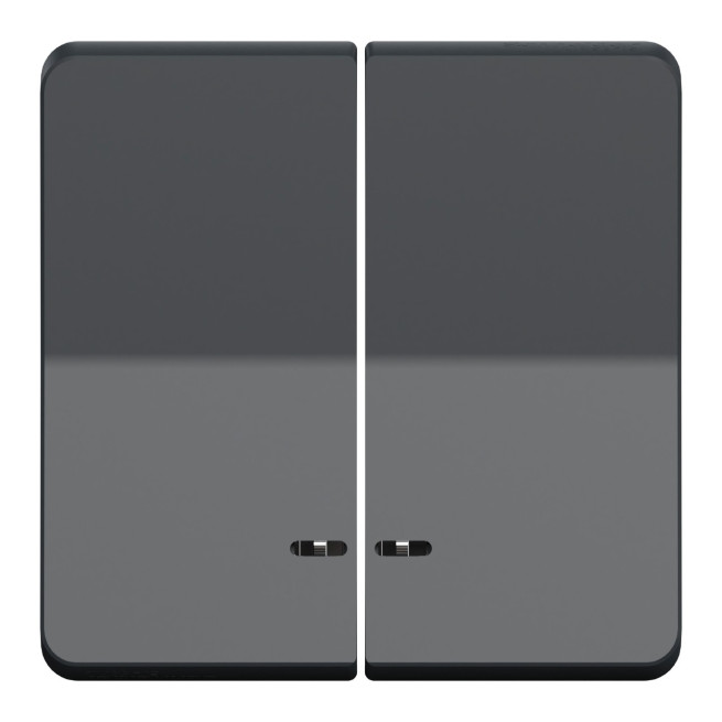 Enjoliveur 2 demi touche - IP55 - IK08 - Gris - Mureva Styl