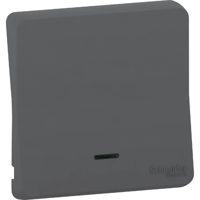 MUR34204-Appareillage-étanche-sup-IP55 Mureva-Styl-Enjoliveur-avec-lentille-IP55-IK08-gris