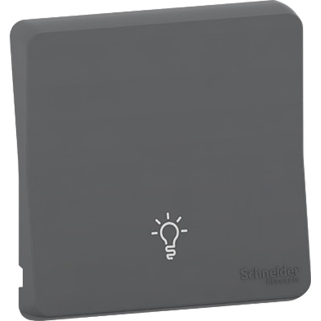 Enjoliveur avec symbole lumière - IP55 - IK08 - Gris - Mureva Styl