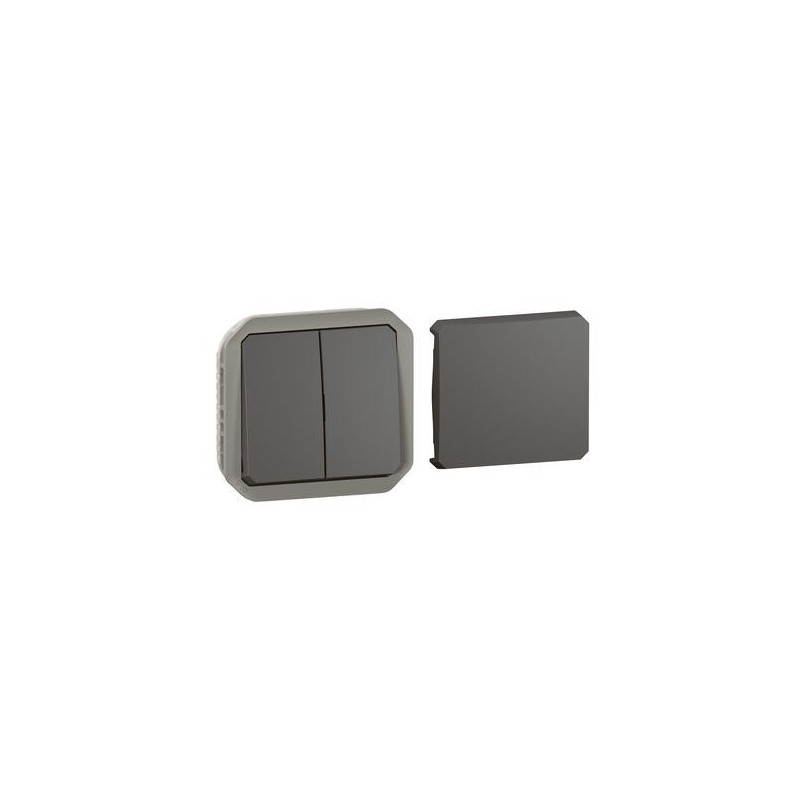 Transformateur réversible Anthracite Plexo