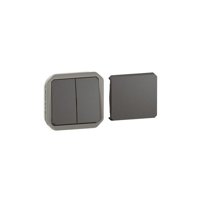 Transformateur réversible Anthracite Plexo