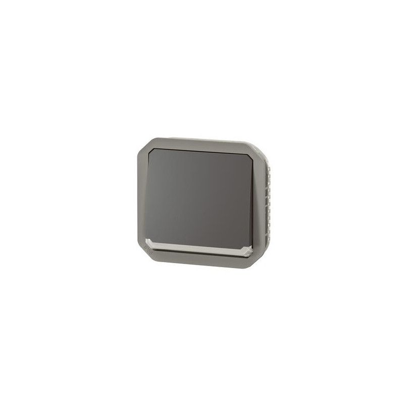 Interrupteur lumineux 10AX Anthracite Plexo