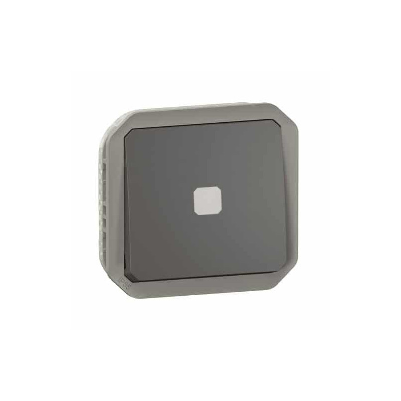 Interrupteur temporisé lumineux Anthracite Plexo