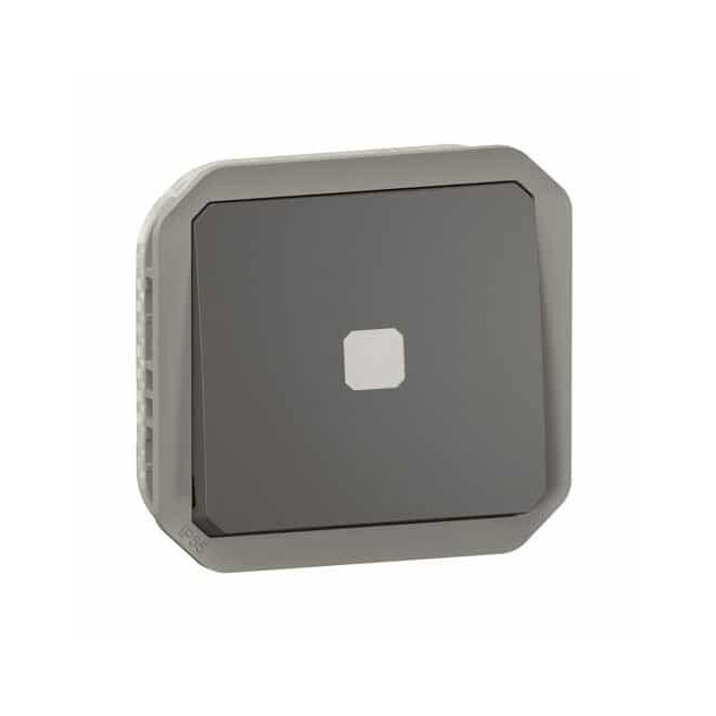 Interrupteur temporisé lumineux Anthracite Plexo