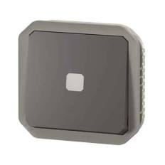 Interrupteur temporisé lumineux Anthracite Plexo