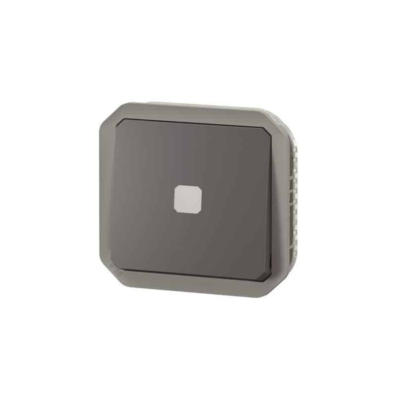 Interrupteur temporisé lumineux Anthracite Plexo