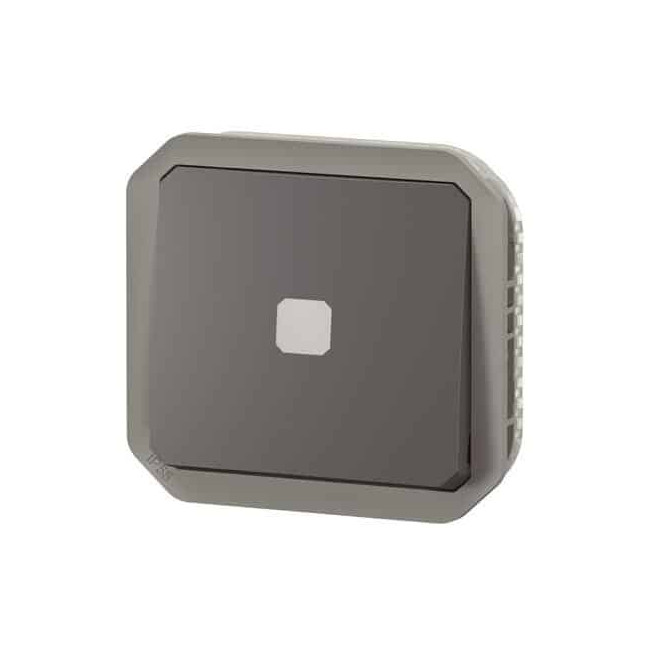 Interrupteur temporisé lumineux Anthracite Plexo